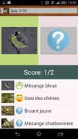 Quiz sur les oiseaux Pro capture d'écran 3