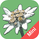 APK Flora Helvetica Mini français