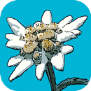 APK Flora Helvetica Pro Deutsch