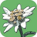 APK Flora Helvetica Pro français