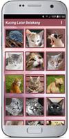 Kucing Latar Belakang poster