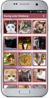 Kucing Latar Belakang screenshot 1
