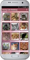 Kucing Latar Belakang screenshot 2