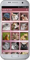 Fundo Do Gato Cartaz
