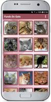 Fundo Do Gato imagem de tela 2