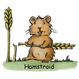 Hamstroid