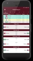 Women's Football World Cup 201 syot layar 1