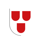Schiltach icon
