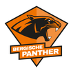 Bergische Panther