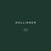 Dollinger скриншот 1