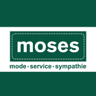 Moses icône
