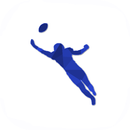 Football Results and Standings APK