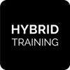 Hybrid Training