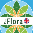 iFlora - Flora of Belgium & Lu