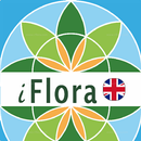 APK iFlora - Flora of Germany and 