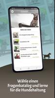 Büffeln Hundehaltung bài đăng