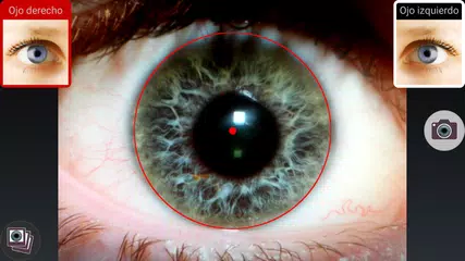 Descargar XAPK de Miniris