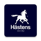 Hastens beds icône