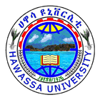 Hawassa icône
