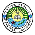 Mizan Tepi University icône