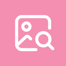 Get Icon APK