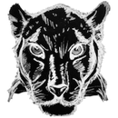 Catplayer APK