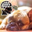 facedog: Human Dog A.I. Detection, TensorFlow AI APK