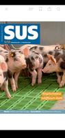 Schweinezucht und Schweinemast 스크린샷 3