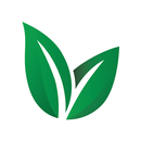 Mahmood Reis APK
