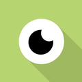 Binary Eye