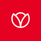 Mewa Fleet icon