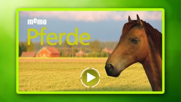 Memo Pferde poster