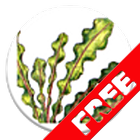 Makrophyten FREE ícone