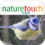 bird identification