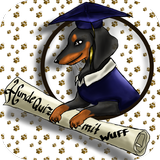 Hunde Quiz mit Wuff icono