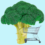 Inventory icon