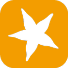 STARFACE icône
