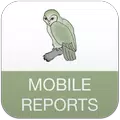Kluge Report