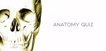 Anatomy Quiz