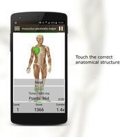 Quiz d'Anatomie capture d'écran 1