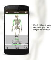 Anatomie Quiz Pro Plakat