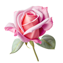 Gute Gedanken - Motivation APK