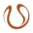 Palma Sport & Tennis Club icon