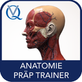 Anatomie Trainer