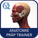 Anatomie Trainer APK