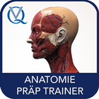 Anatomie Trainer icône