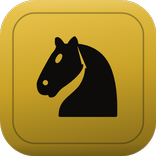 PuzzleMate — Chess Puzzles