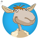 Body2Brain APK