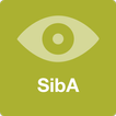 SibA – Visussimulation