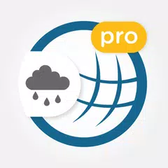 RegenRadar mit Unwetterwarnung APK download